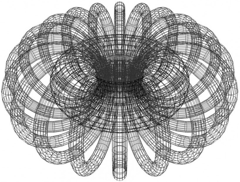 Torus 4D